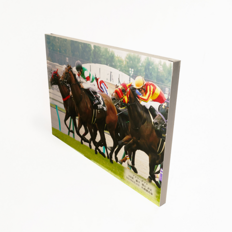 勝ち馬ゴール前 特製パネル A2サイズ