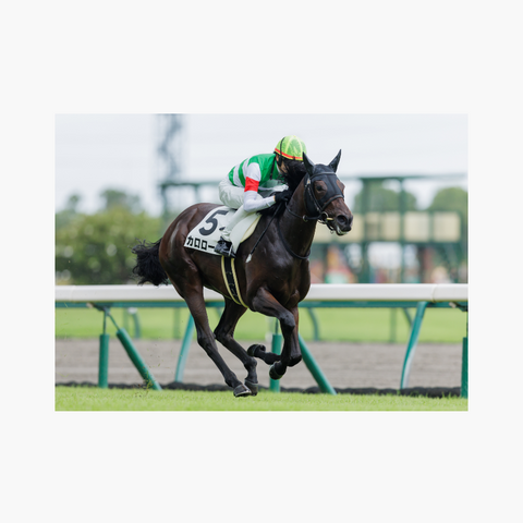 ポスタープリント画像