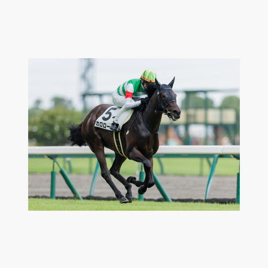 ポスタープリント